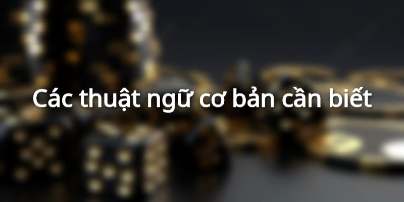 Những thuật ngữ phổ thông trong đá gà 